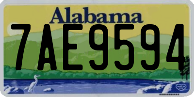 AL license plate 7AE9594