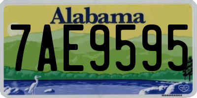 AL license plate 7AE9595