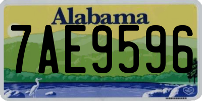 AL license plate 7AE9596