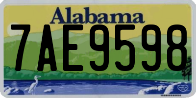 AL license plate 7AE9598