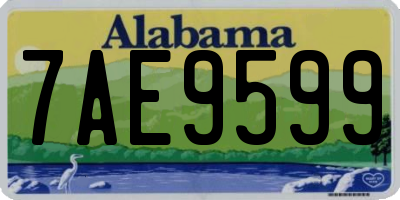 AL license plate 7AE9599