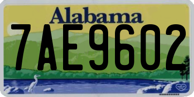 AL license plate 7AE9602