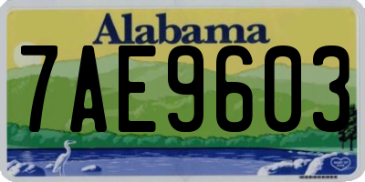 AL license plate 7AE9603