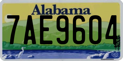 AL license plate 7AE9604