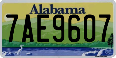 AL license plate 7AE9607