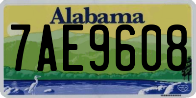 AL license plate 7AE9608