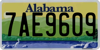 AL license plate 7AE9609