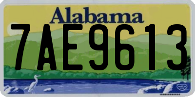 AL license plate 7AE9613