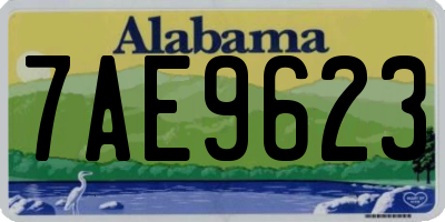 AL license plate 7AE9623