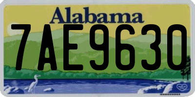 AL license plate 7AE9630