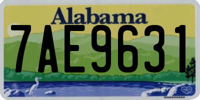 AL license plate 7AE9631