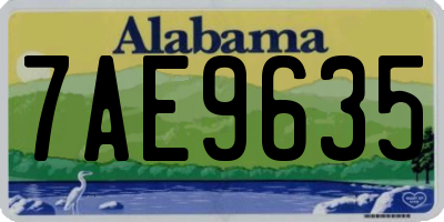 AL license plate 7AE9635