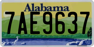 AL license plate 7AE9637