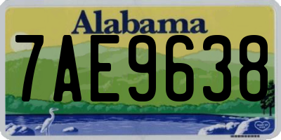 AL license plate 7AE9638