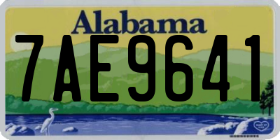 AL license plate 7AE9641