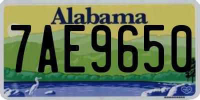 AL license plate 7AE9650