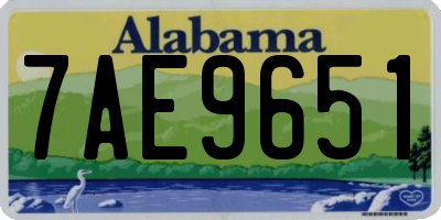 AL license plate 7AE9651