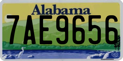 AL license plate 7AE9656