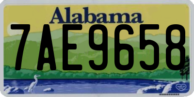 AL license plate 7AE9658