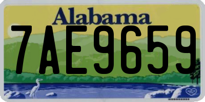 AL license plate 7AE9659