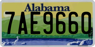 AL license plate 7AE9660