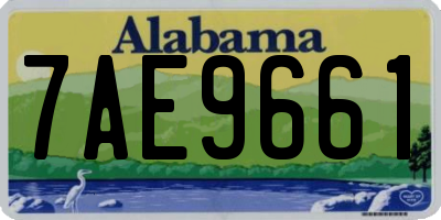 AL license plate 7AE9661
