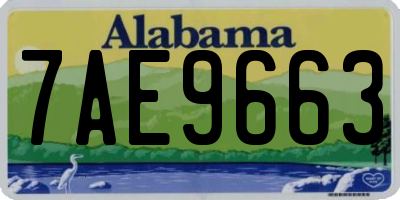 AL license plate 7AE9663