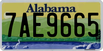 AL license plate 7AE9665