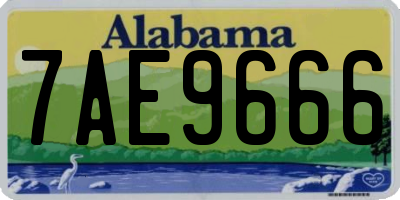 AL license plate 7AE9666