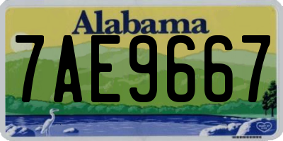 AL license plate 7AE9667