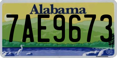 AL license plate 7AE9673