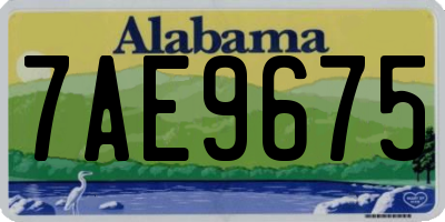 AL license plate 7AE9675