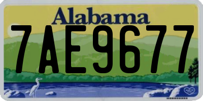 AL license plate 7AE9677