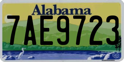 AL license plate 7AE9723