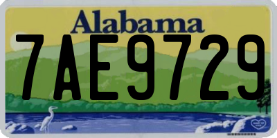 AL license plate 7AE9729