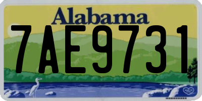 AL license plate 7AE9731