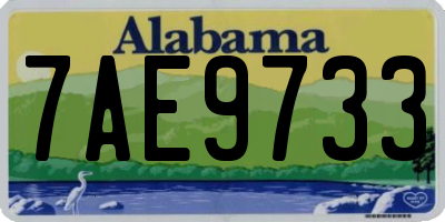 AL license plate 7AE9733