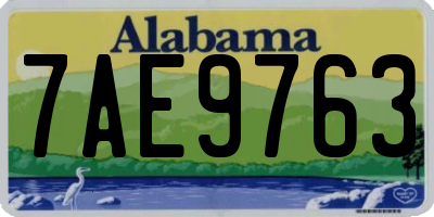AL license plate 7AE9763
