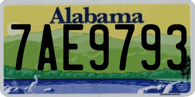 AL license plate 7AE9793