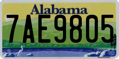 AL license plate 7AE9805