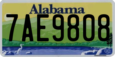 AL license plate 7AE9808