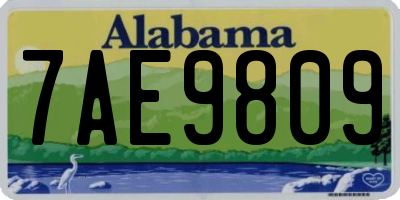 AL license plate 7AE9809