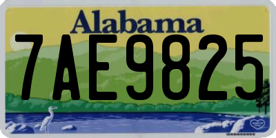 AL license plate 7AE9825