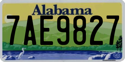 AL license plate 7AE9827