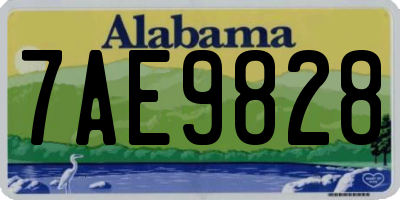 AL license plate 7AE9828