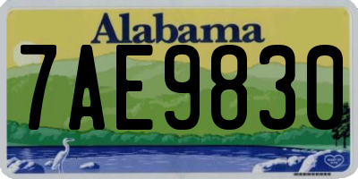 AL license plate 7AE9830