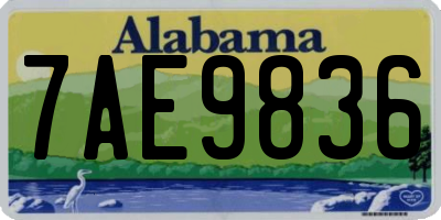 AL license plate 7AE9836