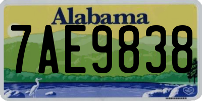 AL license plate 7AE9838