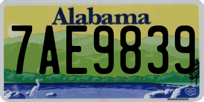 AL license plate 7AE9839