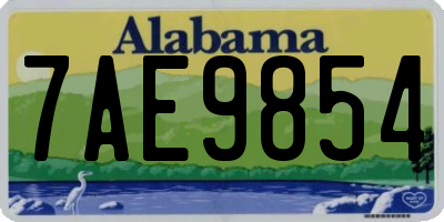 AL license plate 7AE9854